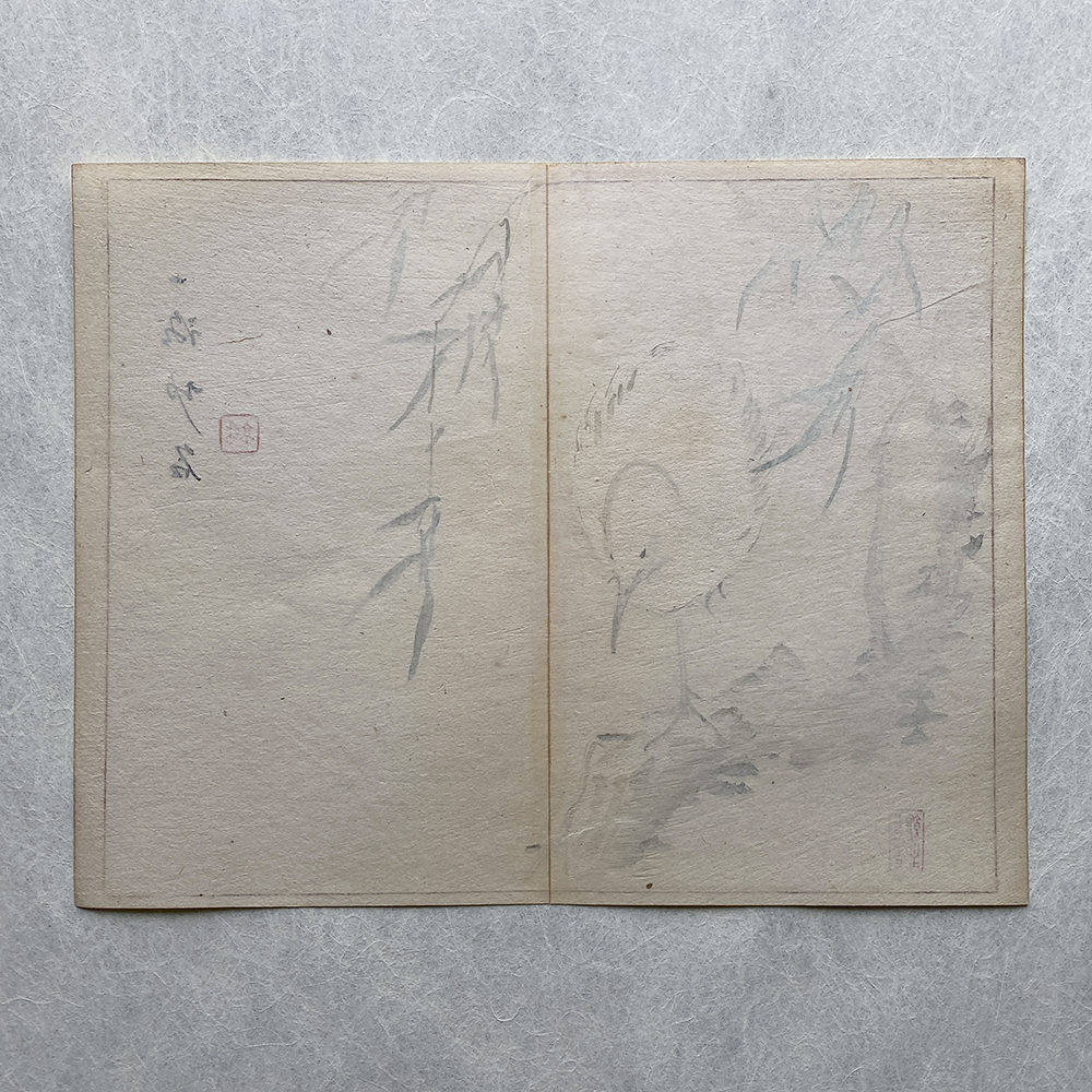 Taki Katei - Japanese Ibis. (1894)