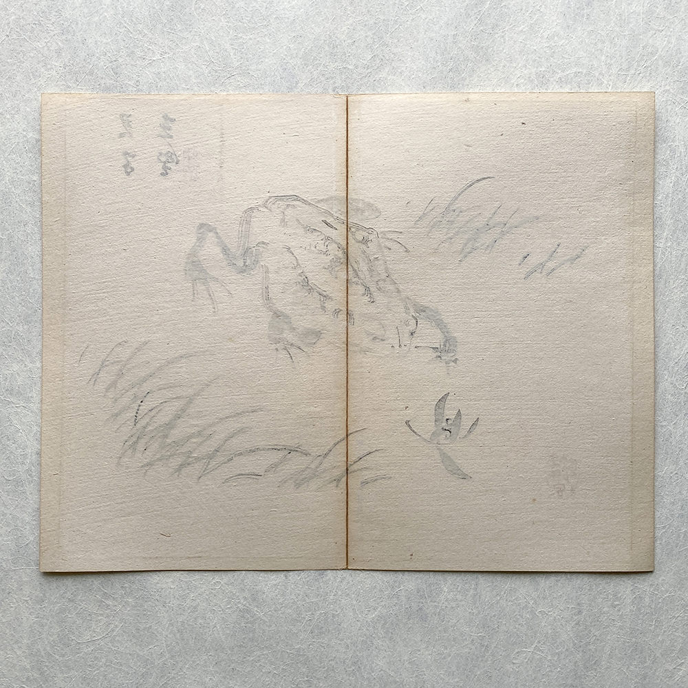 Taki Katei - Žába. Tansei Ippan (1894).