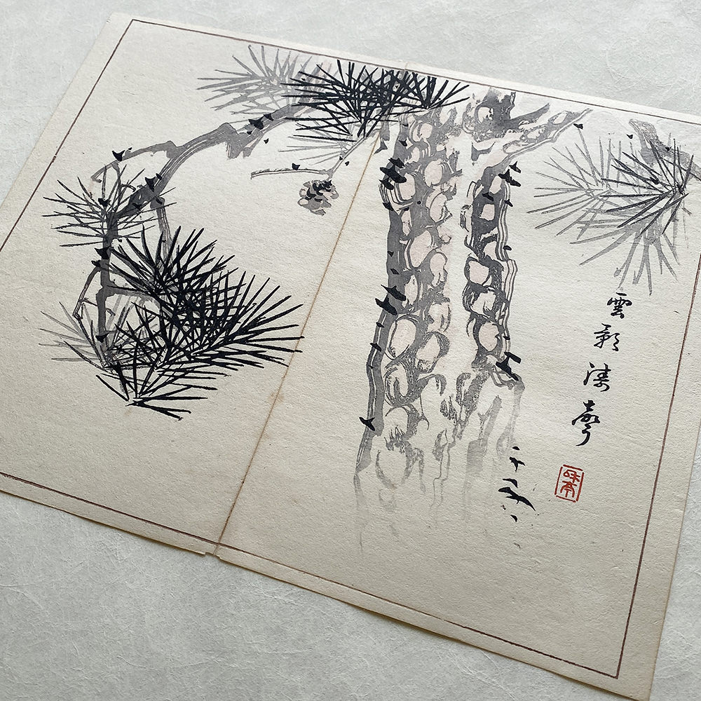 Taki Katei - Borovice z Šubi. Tansei Ippan (1894)