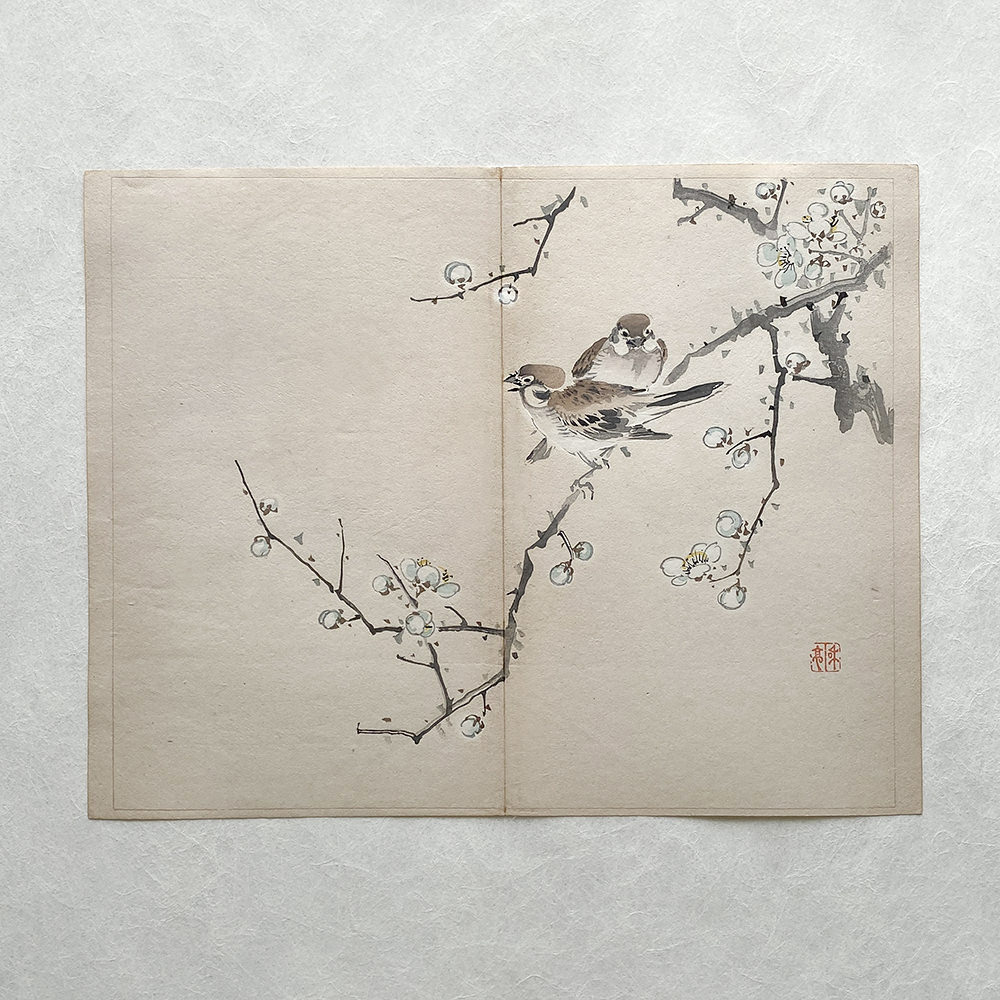Taki Katei – Vrabci ve větvích sakury. Tansei Ippan (1894)