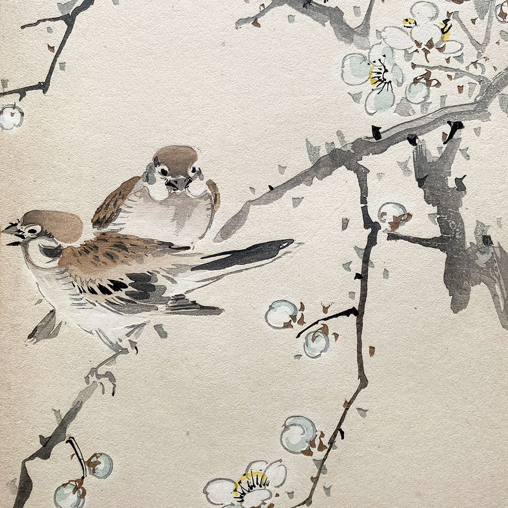 Taki Katei – Vrabci ve větvích sakury. Tansei Ippan (1894)