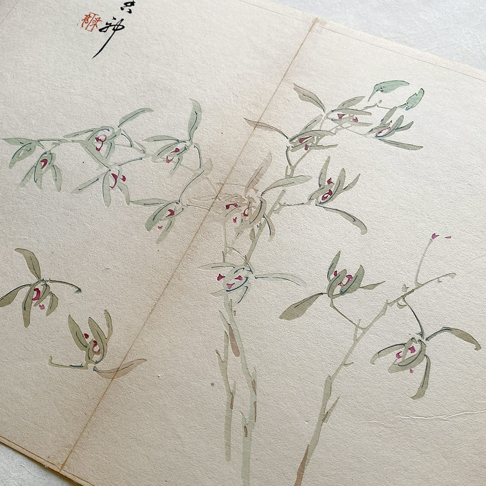Taki Katei - Jmelí. Tansei Ippan (1894)