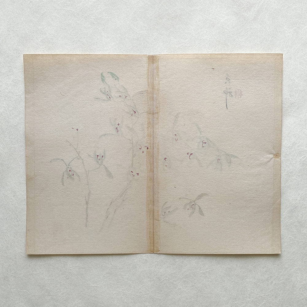 Taki Katei - Jmelí. Tansei Ippan (1894)