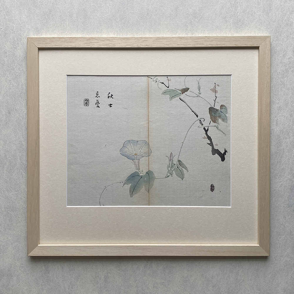 Taki Katei - Ipomea. Tansei Ippan (1894)