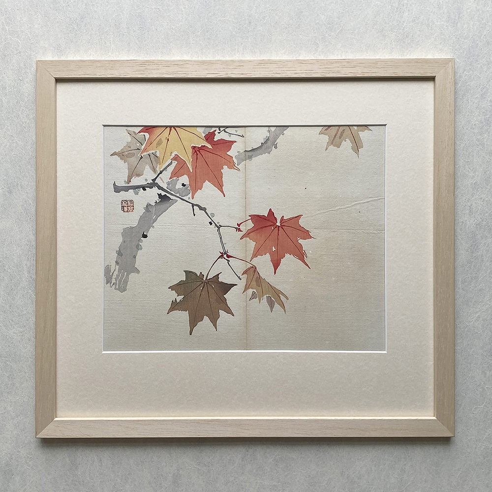 Taki Katei - Rudý javor