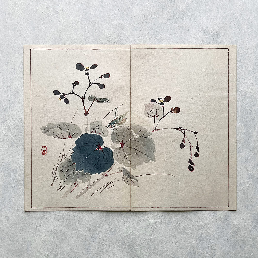 Taki Katei - Kobylka. (1894)