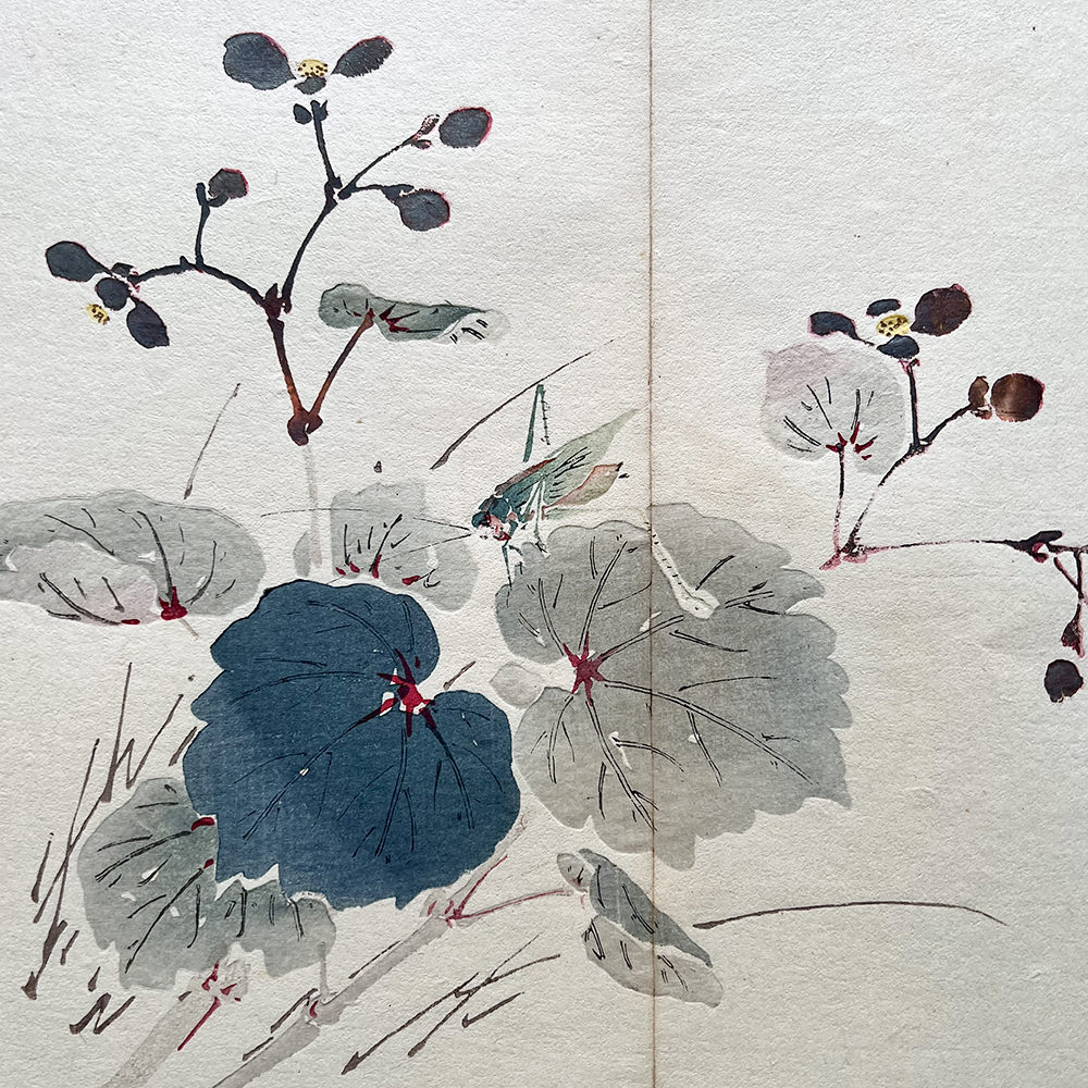 Taki Katei - Kobylka. (1894)