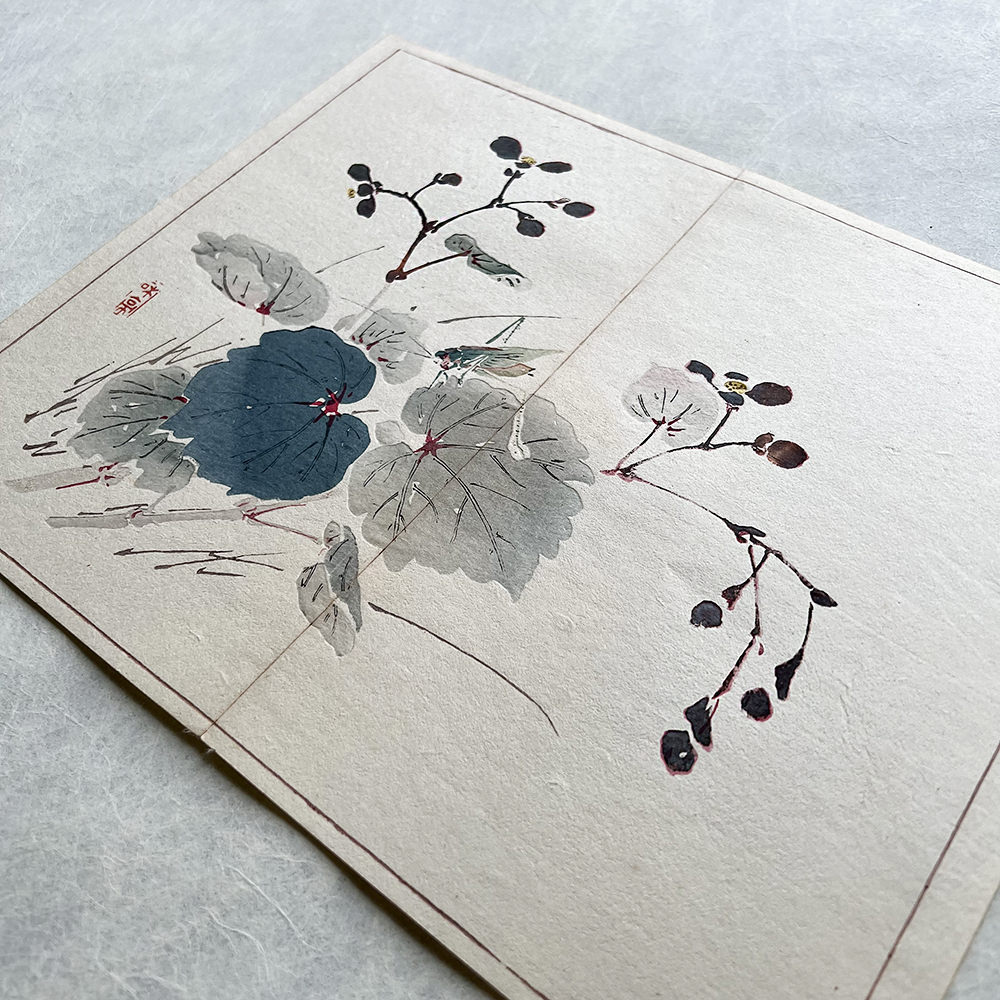 Taki Katei - Kobylka. (1894)