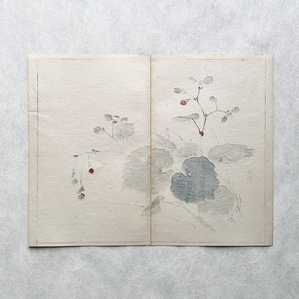 Taki Katei - Kobylka. (1894)