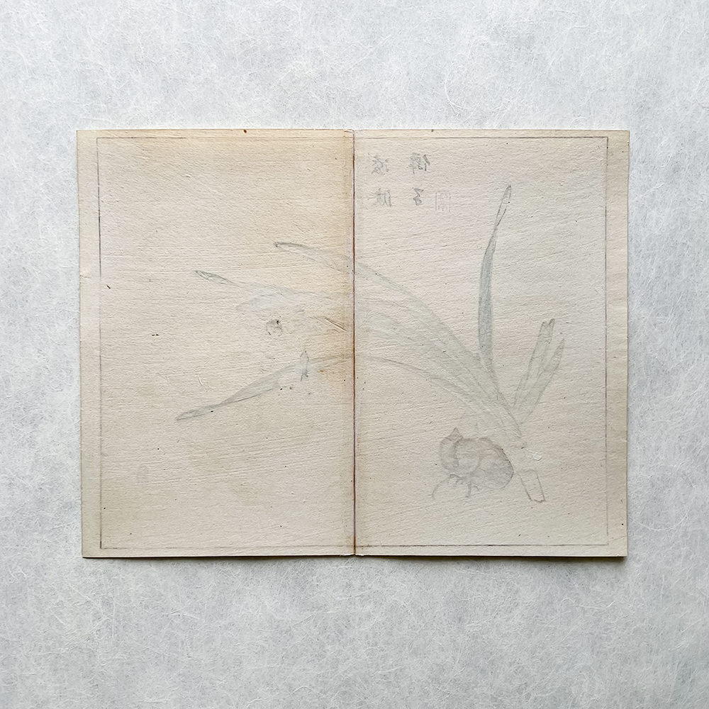 Taki Katei - Narcis. Tansei Ippan (1894)