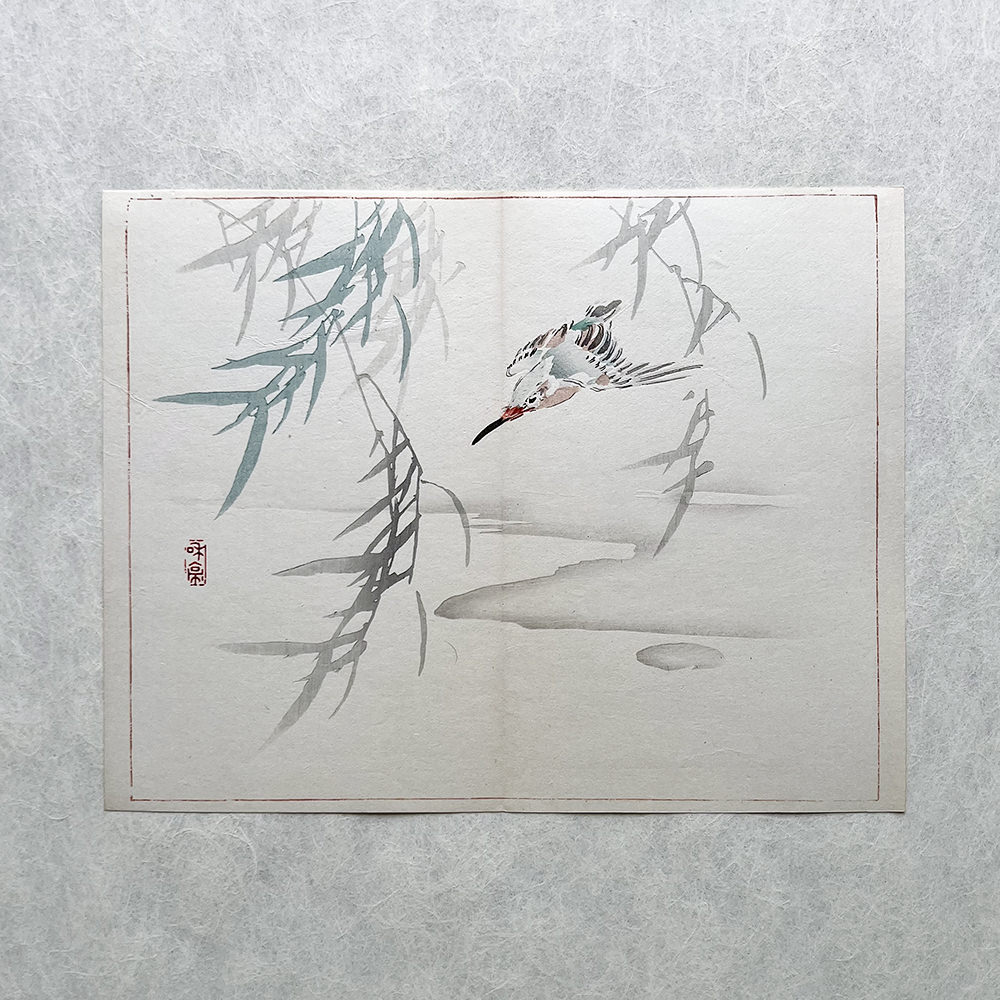 Taki Katei - Ledňáček. Album Tansei Ippan (1894).