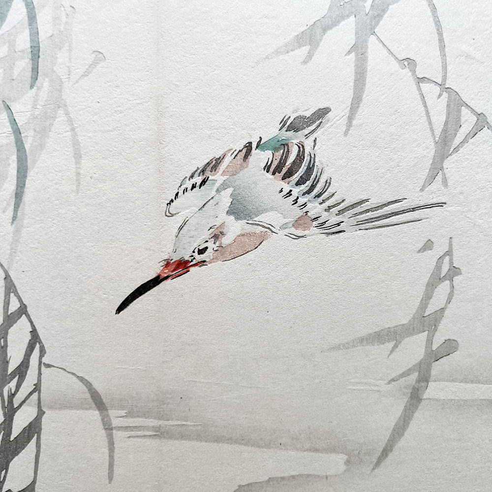 Taki Katei - Ledňáček. Album Tansei Ippan (1894).