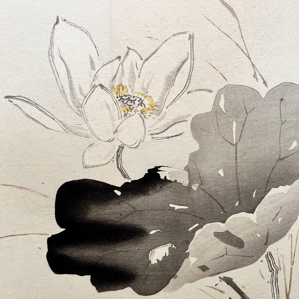 Taki Katei - Leknín. Tansei Ippan (1894).