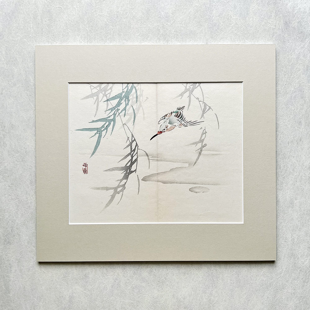 Taki Katei - Ledňáček. Tansei Ippan (1894). Pasparta